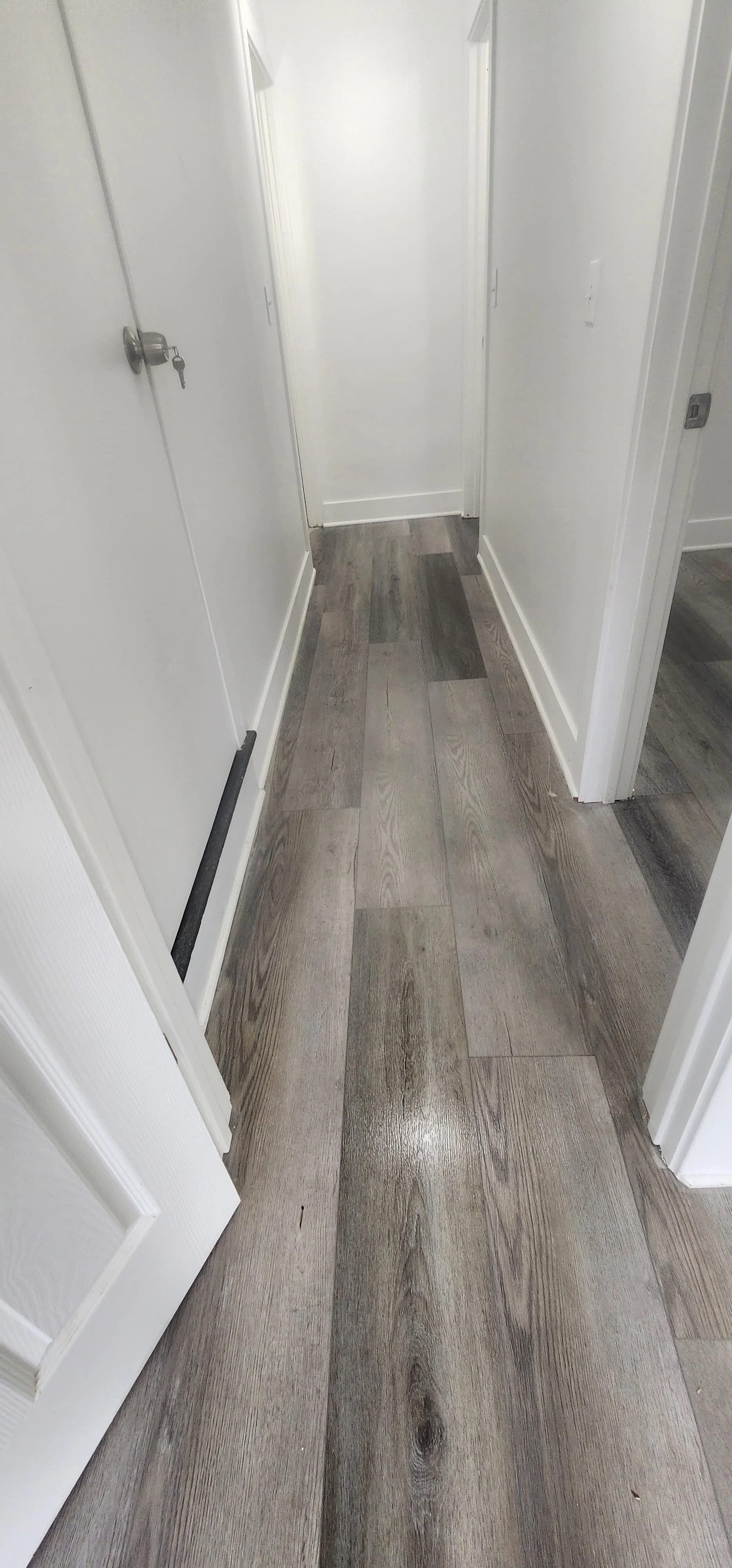 518 Thomas St backyard - Lehigh student housing South Bethlehem PA